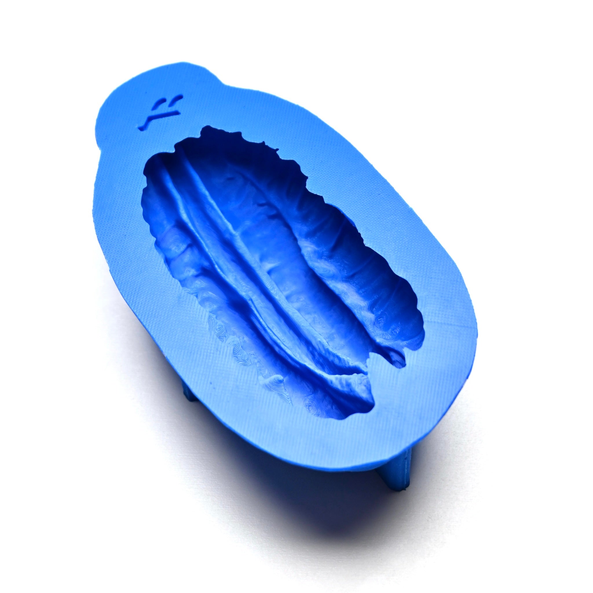 PECAN MOLD