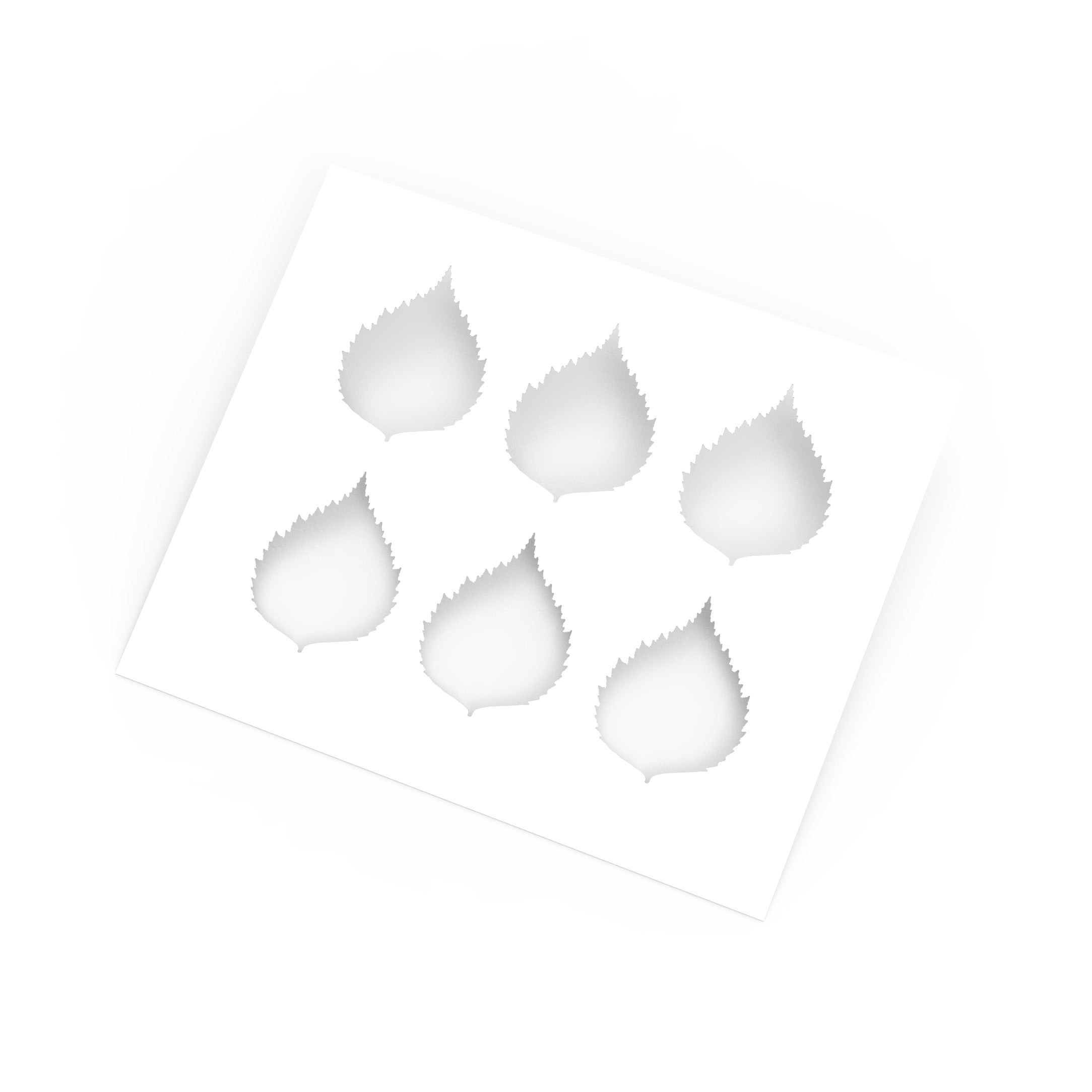 White plastic pastry stencil featuring six birch leaf-shaped cutouts with detailed serrated edges.