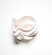 COOKIE CUTTER - FISH-TOOLS-TBMOLDS UAE