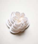 COOKIE CUTTER - HORSE CHESTNUT
