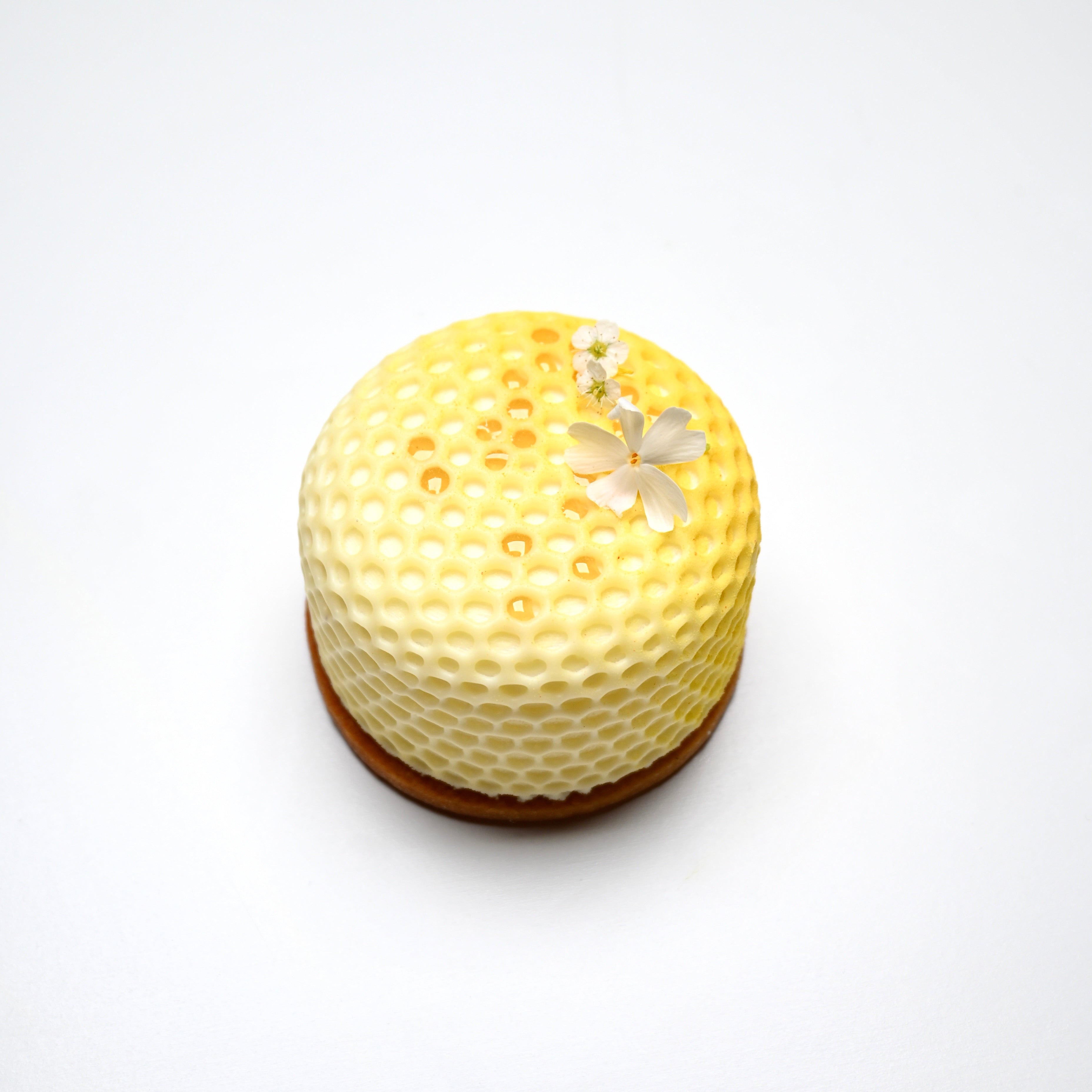 ALVEA MOLD