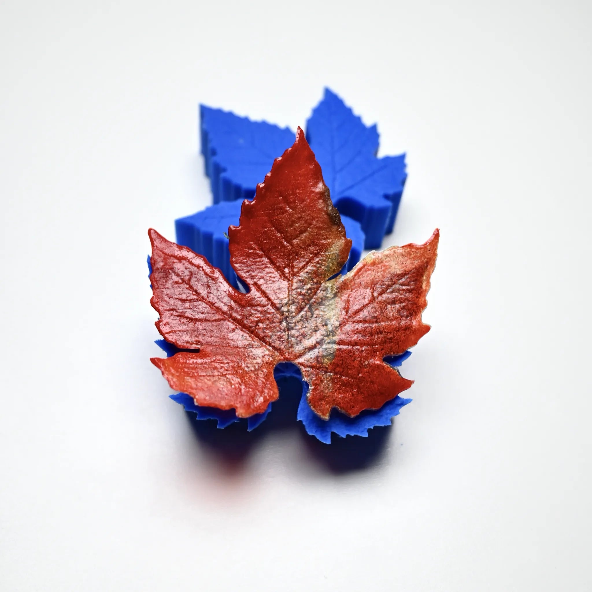 Blue silicone vine leaf mold with a realistic red textured sugar paste leaf on top.