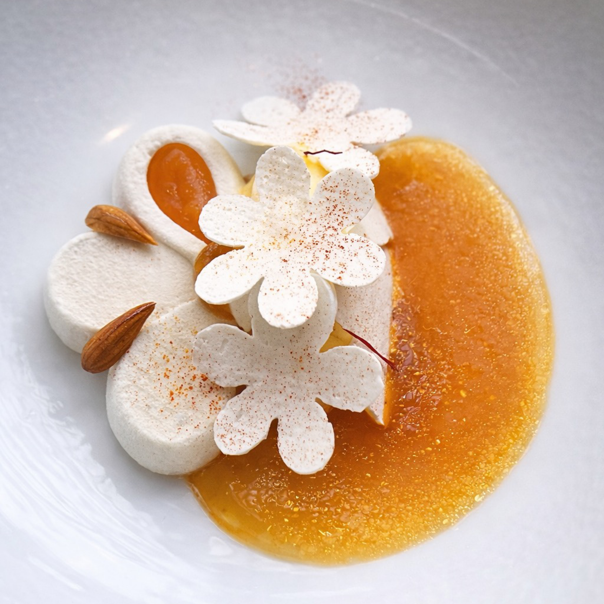 Elegant daisy-shaped white mousse desserts with orange gel and almonds.