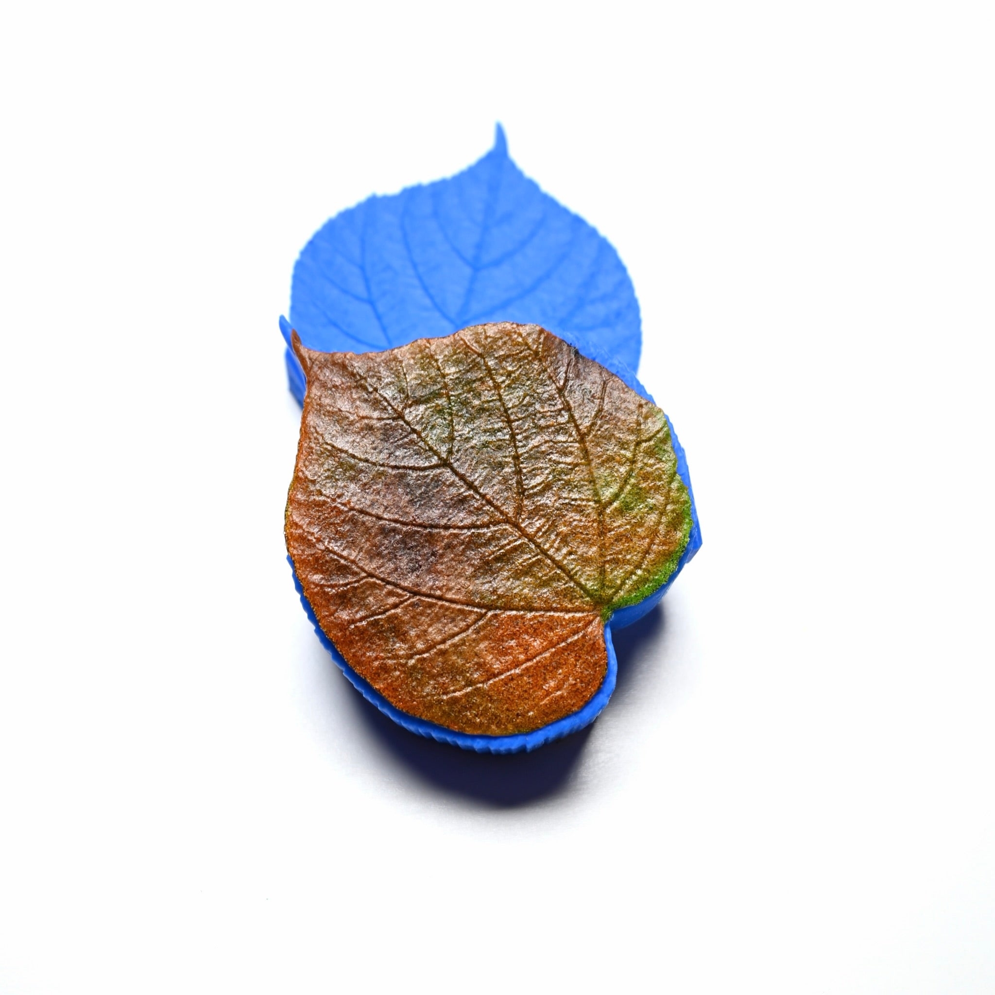 TILLEUL LEAF PRESS