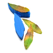 CHESTNUT LEAF PRESS