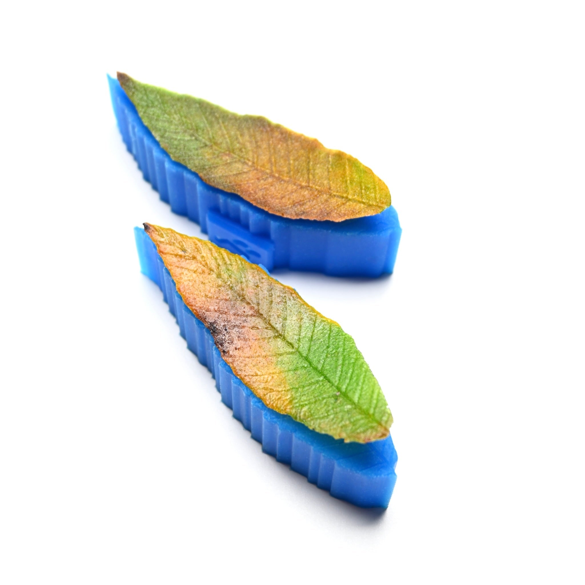 CHESTNUT LEAF PRESS