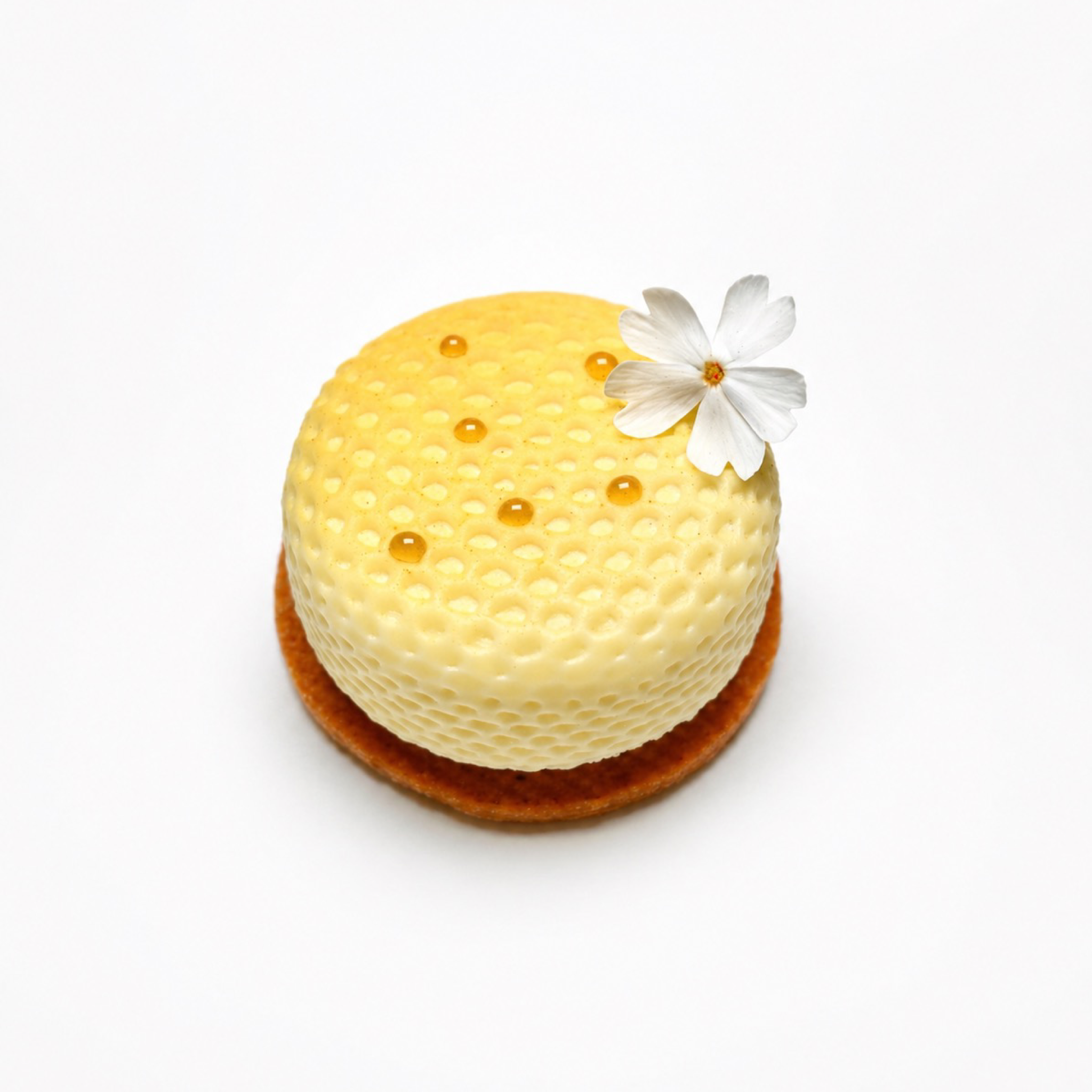 IMG_1985_2.png