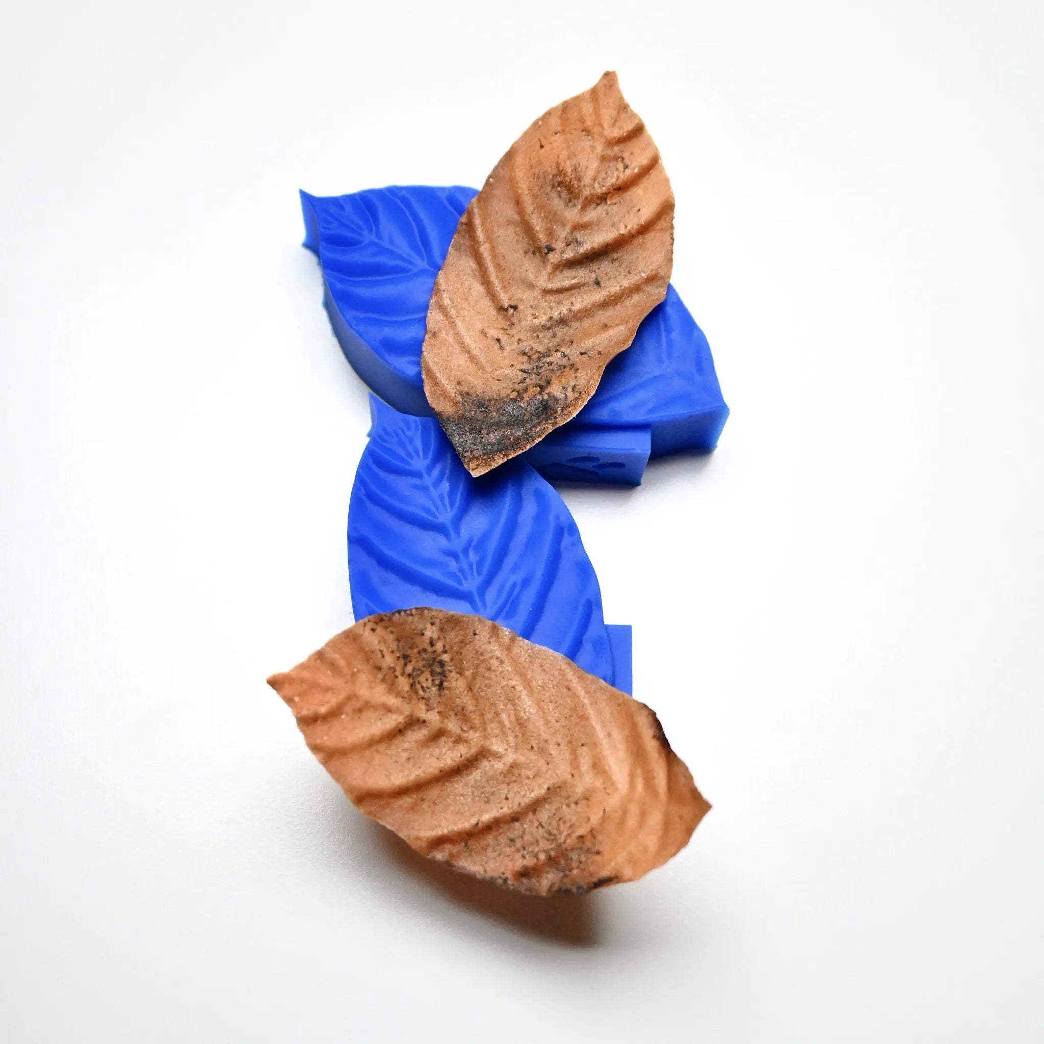 Blue silicone coffee leaf molds with realistic brown textured leaf impressions.