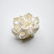 Stacked white plastic fig leaf cookie cutters showing detailed lobed outlines.
