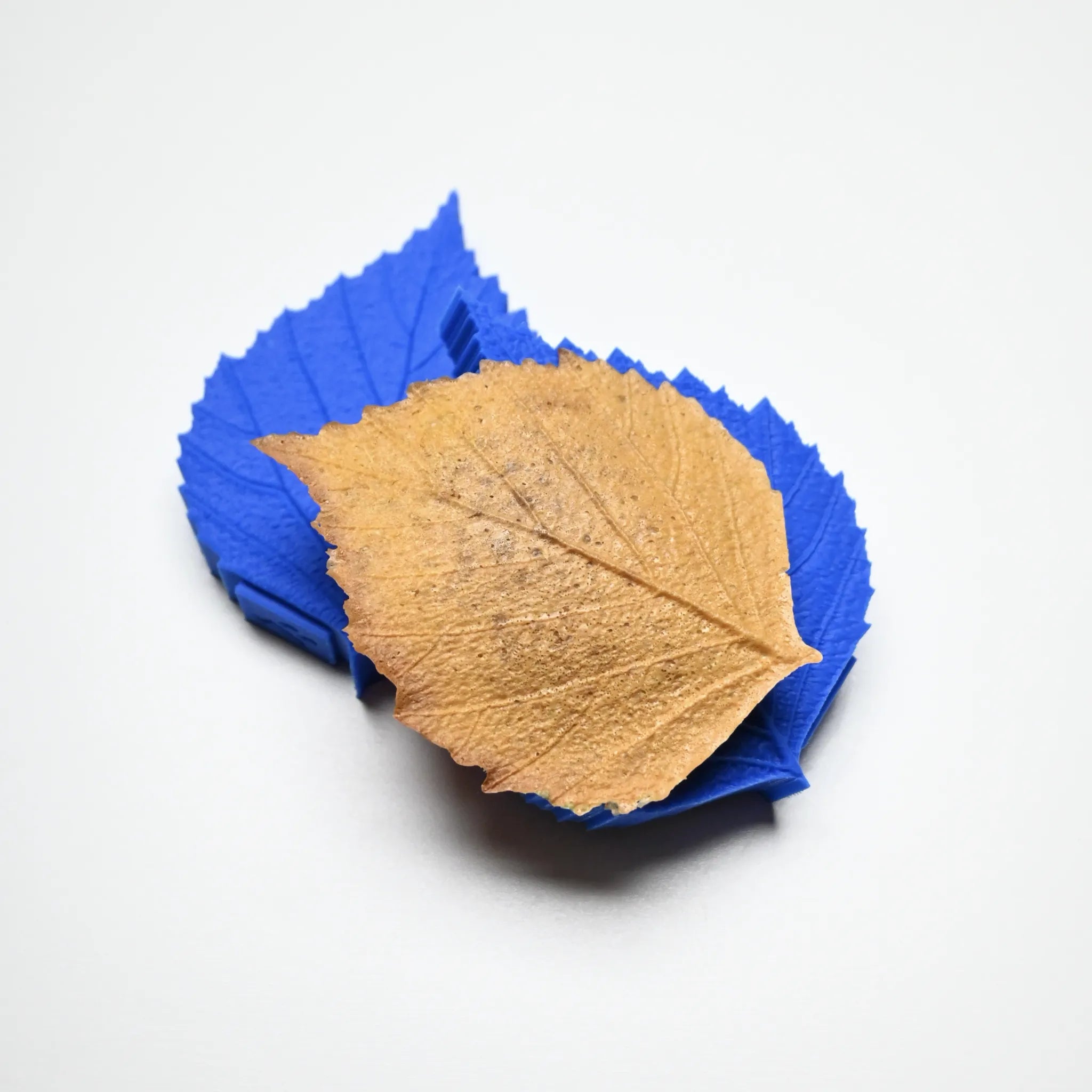 Blue silicone birch leaf mold with a textured golden-brown pastry leaf on top.