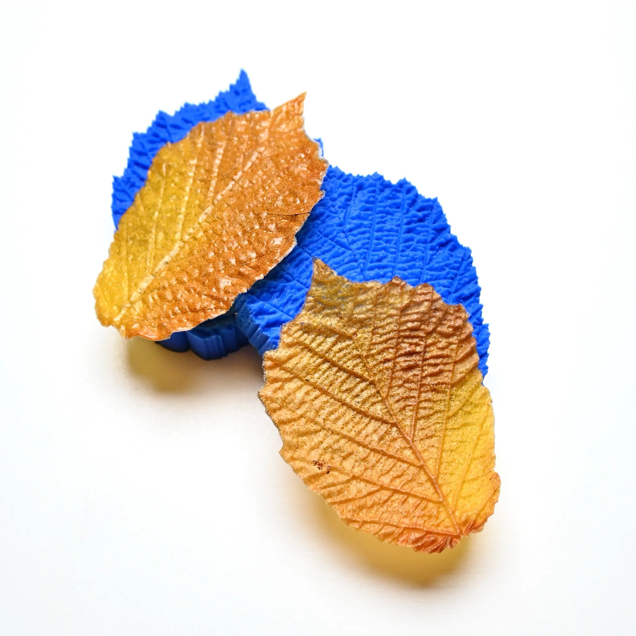 Blue hazelnut leaf silicone pastry molds with realistic brown textured edible leaves.