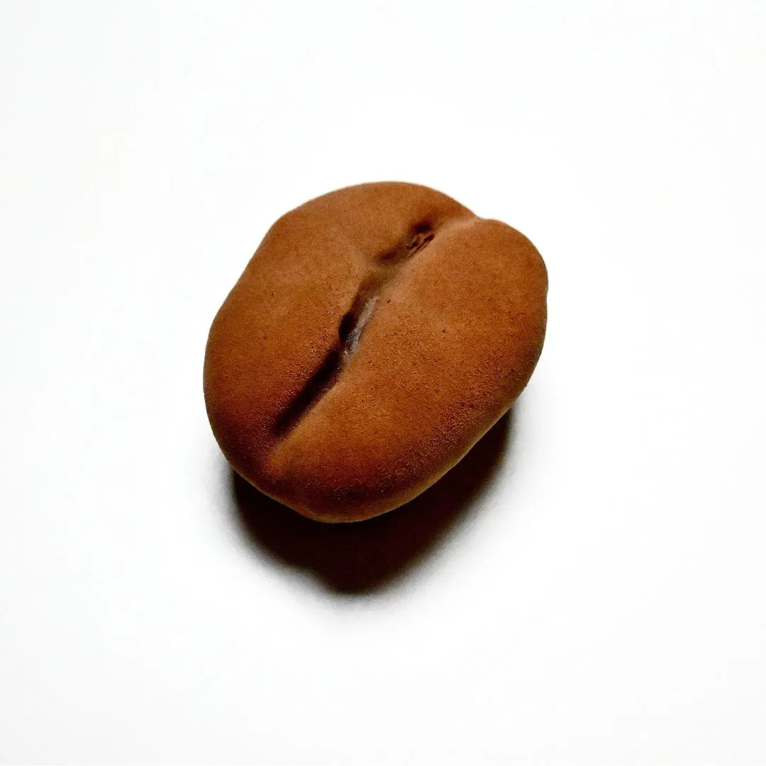 Realistic brown chocolate coffee bean molded with a textured matte finish on a white background.
